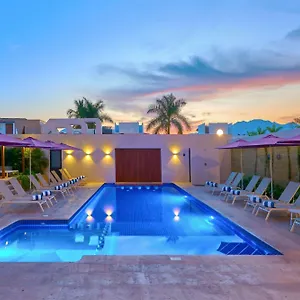 book here